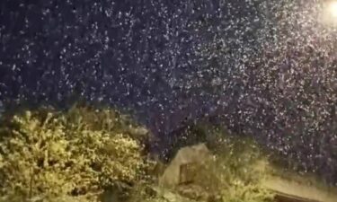 Slika od U Gorskom kotaru pada jak snijeg