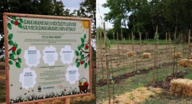 Slika od U Koprivnici posađena najveća šuma hrane u Hrvatskoj, ima više od 900 sadnica