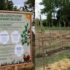 Slika od U Koprivnici posađena najveća šuma hrane u Hrvatskoj, ima više od 900 sadnica