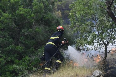 Slika od U Primištenu gorjela trava, nisko raslinje i masline: brzom intervencijom vatrogasaca vatra je brzo ugašena