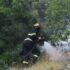 Slika od U Primištenu gorjela trava, nisko raslinje i masline: brzom intervencijom vatrogasaca vatra je brzo ugašena
