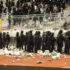 Slika od Velika sramota Torcide, pogledajte kako su zbog poraza uništili vlastiti stadion