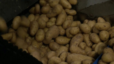 Slika od Za Pariz će biti spremno 13 tona krumpira: Prepolovit će se količina životinjskih proizvoda
