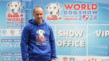 Slika od Zagreb je spreman za Svjetsku izložbu pasa: Najviše pasa stiže iz Italije, bit će ih i iz Australije!