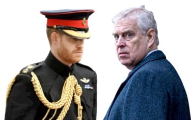 Slika od Zašto kraljevski stručnjaci uspoređuju princa Andrewa i Harryja
