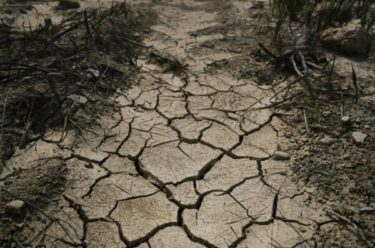 Slika od Znanstvenici u ‘neobranom grožđu’ zbog klimatskog kaosa: Ako se ne smiri do kolovoza, u problemu smo