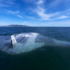 Slika od Amerikanci i Australci predstavili ogromne podmorske dronove
