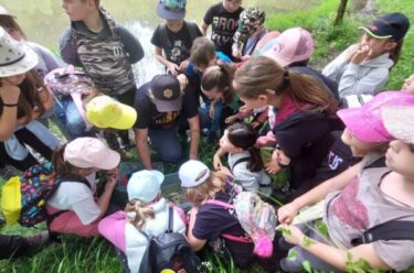 Slika od Dan biološke raznolikosti: Učenici postali čuvari lokve u Parku prirode Učka