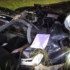 Slika od Detalji teške nesreće kod Zeline: Mladići su jurcali u BMW-u brže od 200 km/h