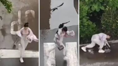 Slika od Dramatična snimka iz Srbije: Vrane napadaju prolaznike, djevojka pala na stazu i vrištala