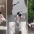 Slika od Dramatična snimka iz Srbije: Vrane napadaju prolaznike, djevojka pala na stazu i vrištala