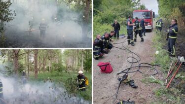 Slika od FOTO Nevjerojatno! Netko kod Valpova na 50 mjesta zapalio šumu. Policija lovi piromana?
