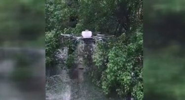 Slika od Istok Hrvatske u rat s komarcima krenuo i dronovima: ‘Ulaze u usta, u oči, u uši… grozno’
