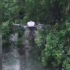 Slika od Istok Hrvatske u rat s komarcima krenuo i dronovima: ‘Ulaze u usta, u oči, u uši… grozno’
