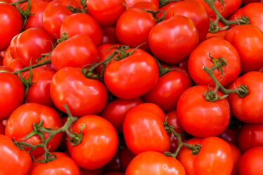 Slika od Jedan sastojak kojeg svi imamo kod kuće čini rajčice većima i ukusnijima