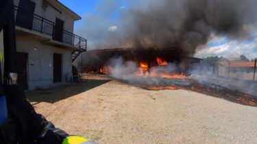 Slika od Jeziv požar u Slavoniji: ‘Izgorjela je štala, kombajn i više od 10 svinja’