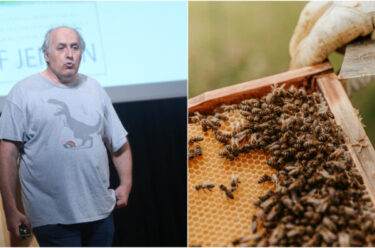 Slika od Korado Korlević stiže u Kastav povodom Svjetskog dana pčela!