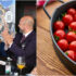 Slika od KVALITETA I RAZNOVRSNOST: Kvarner u utrci za prestižnu titulu Europske gastronomske regije!