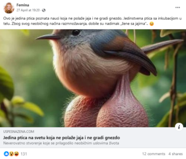 Slika od Madagaskarski jajonosni drozd ne postoji