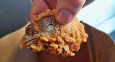 Slika od Naručila KFC pileća krilca, a u kutiji ju dočekala kokošja glava s kljunom