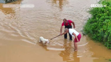 Slika od Nevjerojatna snimka spašavanja s Krka: Iz vode izvukli uplašenog psa