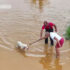 Slika od Nevjerojatna snimka spašavanja s Krka: Iz vode izvukli uplašenog psa