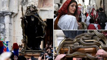Slika od Popularna drevna procesija u Italiji: Sv. Dominika prekriju zmijama, a vjernici? Svatko svoju u ruci drži