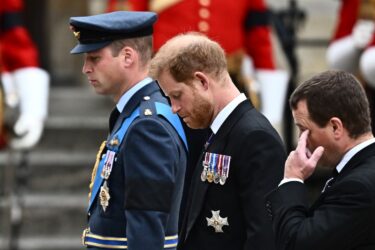 Slika od Princ Harry odbio doći prijatelju na vjenčanje. Ne može biti u istoj sobi s Williamom