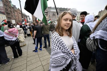 Slika od Propalestinski prosvjednici preplavili Malmö, stigla i Greta Thunberg: ‘Mladi pokazuju svijetu’