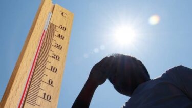 Slika od Prošlo ljeto je bilo najtoplije u 2000 godina. Znanstvenici: ‘Nismo time iznenađeni…’
