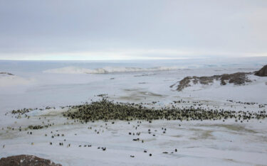 Slika od Rusi objavili što su otkrili na Antarktici. Britanci digli uzbunu