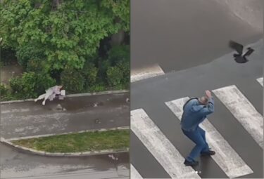 Slika od Snimljen trenutak napada vrane na ženu: Vrišatala je i trčala sve dok nije pala