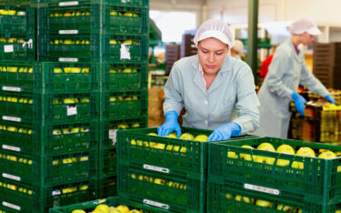 Slika od Srpski proizvođači jabuka vide prilike na kineskom tržištu