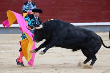 Slika od U Kolumbiji nakon 7 neuspješnih pokušaja zabranjene borbe s bikovima: ‘To je mučenje i barbarstvo’