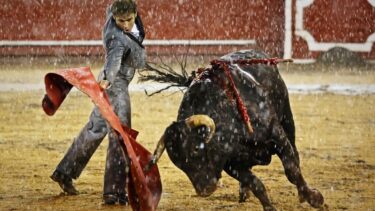 Slika od U Kolumbiji zabranjene borbe s bikovima