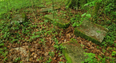 Slika od U šumi u Ozlju polako nestaje zaboravljeno židovsko groblje