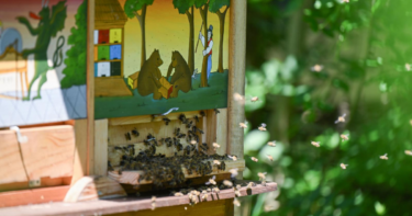 Slika od U zagrebačkom ZOO-u obilježen Svjetski dan pčela