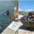 Slika od Uspješno provedena velika akcija čišćenja Jadranskog mora i priobalja na području ACI marine Šimuni  