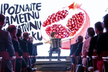 Slika od Večeras jedinstven koncert u Arsena: nastupa nagrađivani hrvatski harmonikaš Leonardo Rojnić