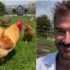Slika od VIDEO Beckham ima novi hobi: Postao je farmer i uzgaja kokoši