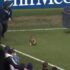 Slika od VIDEO Neočekivani posjetitelj na utakmici! Osoblje ga lovilo po terenu, a publika skandirala