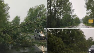 Slika od VIDEO Nevrijeme stiglo i do Zagreba: Olujni vjetar slomio drveće, promet je otežan