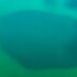 Slika od VIDEO U blizini ogromnog kratera nađena rupa “bez dna”