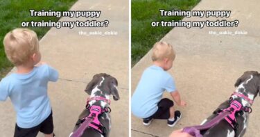 Slika od VIDEO Žena psu u šetnji zadala dvije naredbe, pogledajte što je učinio njezin sin