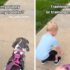 Slika od VIDEO Žena psu u šetnji zadala dvije naredbe, pogledajte što je učinio njezin sin