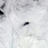 Slika od Znanstvenici riješili 50 godina star misterij ogromne rupe koja se sporadično pojavljuje usred antarktičkog leda
