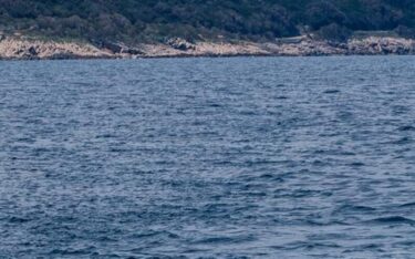 Slika od Iz jednog od najčišćeg podmorja na Jadranu izvučeno preko 700 kilograma otpada
