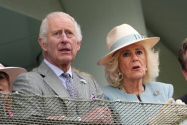 Slika od Kralj Charles održao prvi javni govor nakon dijagnoze: Zaplakala je čak i kraljica