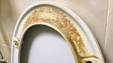 Slika od Neočekivano rješenje za ružne žute mrlje na WC dasci: ‘Djeluje poput magije’