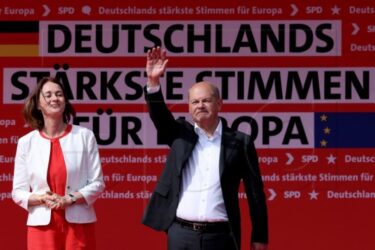 Slika od Njemačka vlada ne želi prijevremene izbore nakon poraza na europskim izborima